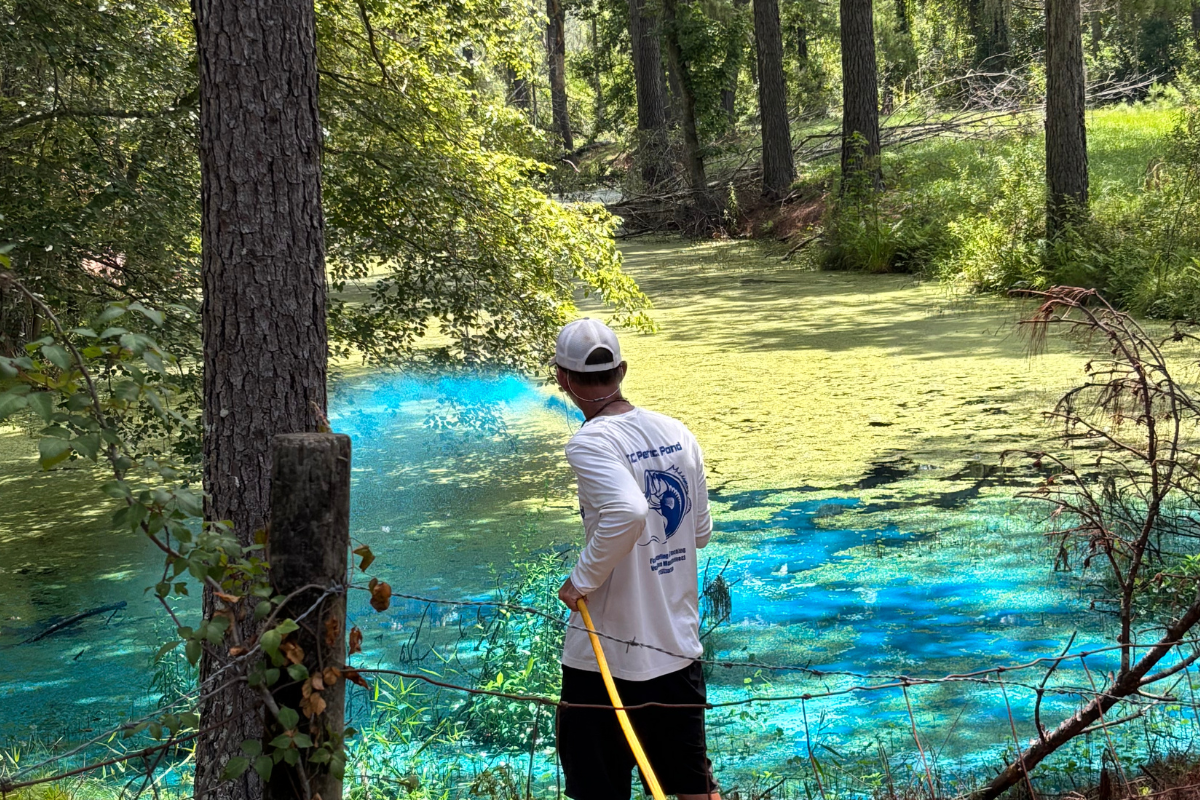 Consequences of a Neglected Pond