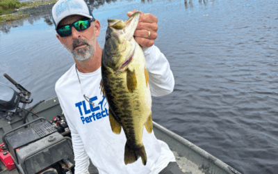 Boosting Forage Production: The Key to Growing Big Bass