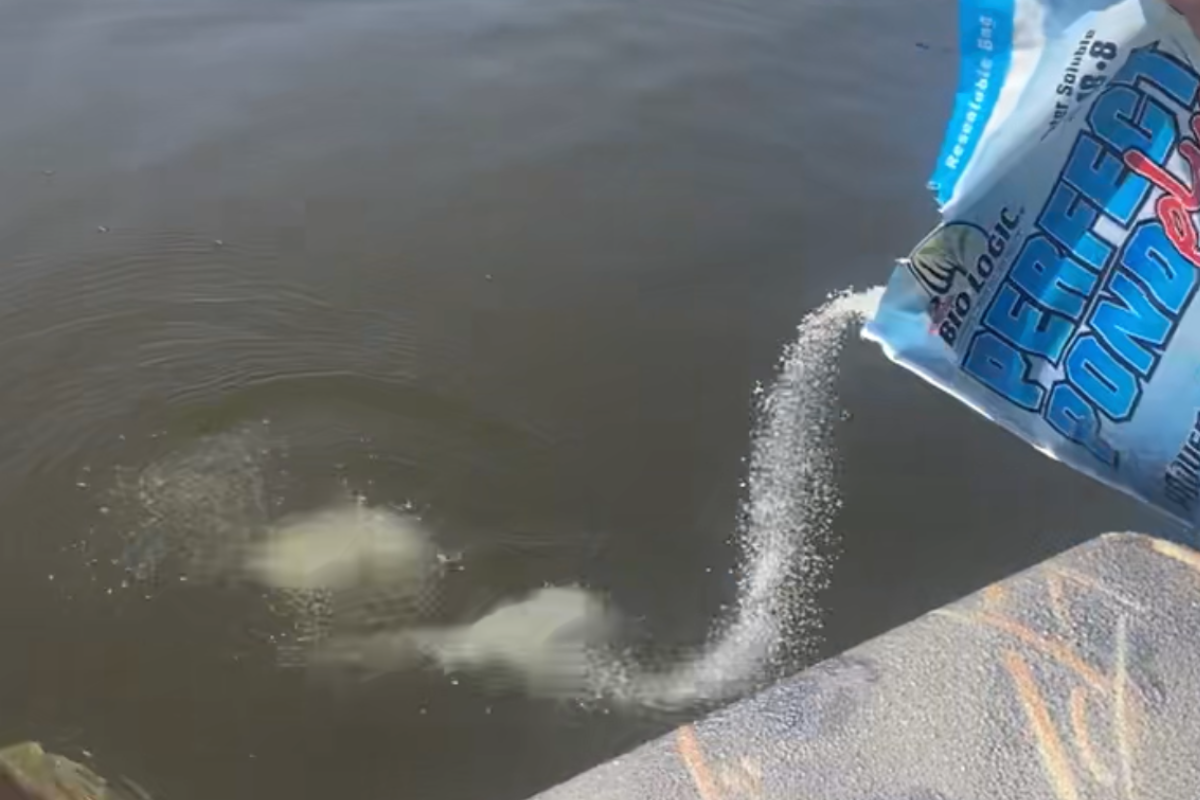 Boosting Bass Forage
