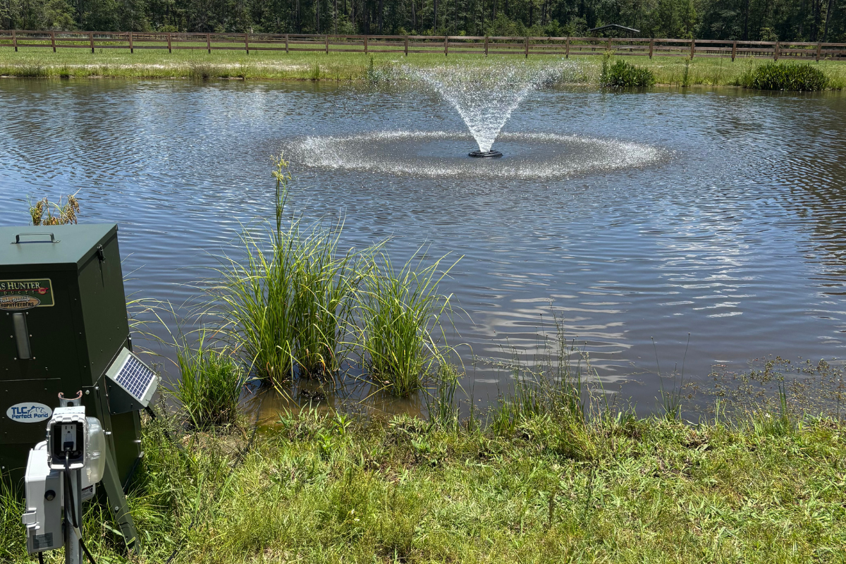 Bluegill Feed Adjustment