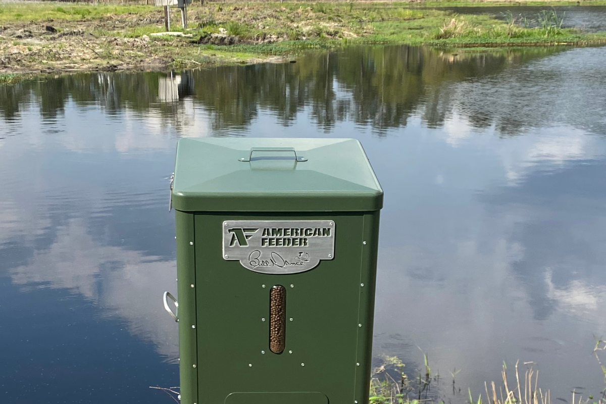 Bluegill Feed Adjustment