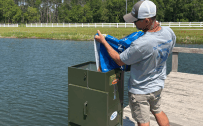 Why Your Bluegill Feeding Schedule Matters (and Why You Should Adjust It After the Time Change)