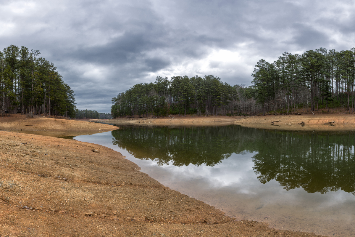 Low Pond Water Level