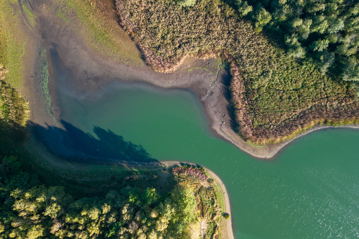 Low Water Levels Creating Natural Habitat in Ponds