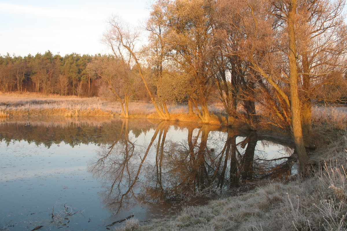 Why Can't I See the Fish in My Pond?
