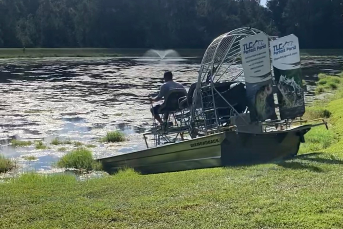 Watermilfoil in Ponds and Lakes